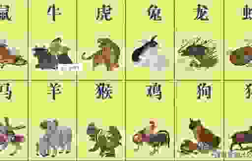 专横跋扈打一准确生肖是什么?这个生肖也太霸道了