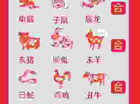 胆大心细的生肖是什么?这三个生肖最符合!