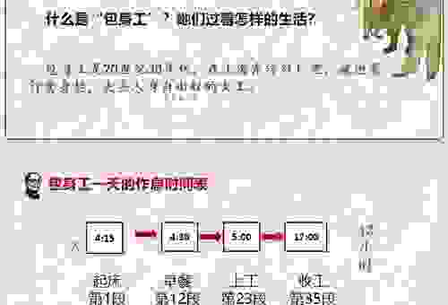 包衣是什么意思?解释清楚让你一目了然!