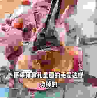 冷水烫猪是什么意思啊？它其实是这样操作的