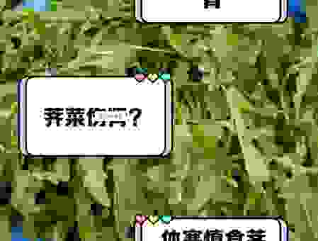 解释一下“甘心如荠”是什么意思，让你学会运用