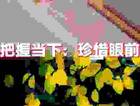 当下的意思是什么？教会你把握每个重要时刻！