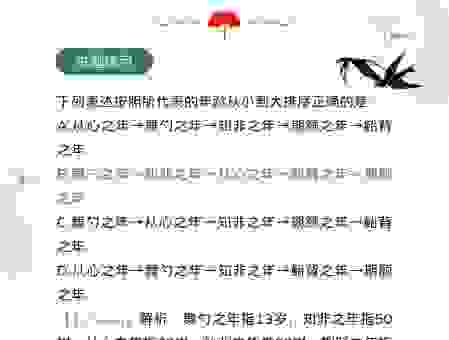 二八佳人是什么意思？了解这个称呼背后的文化