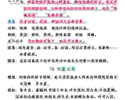 文质彬彬什么意思？通俗易懂的解释让你秒懂！