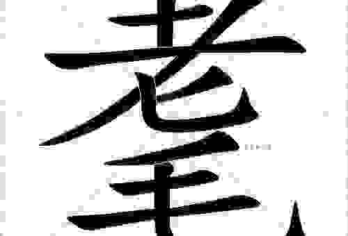 耄耋是什么意思怎么读？简单易懂的解释与读音