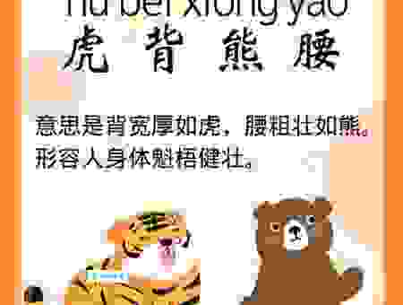 虎背熊腰是什么意思?了解它的含义和用法很重要!