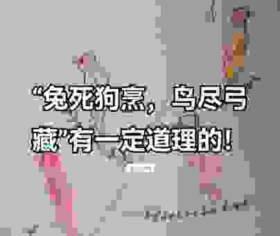 犬兔俱毙的意思是什么?成语故事告诉你答案! 犬兔俱毙的意思是什么?成语故事告诉你答案!