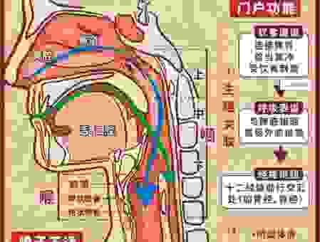 狼吞咽虎咽的意思是啥？快来学习正确理解方式