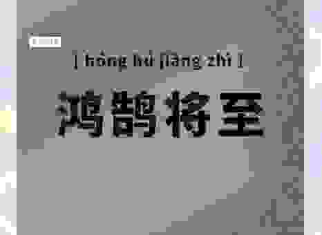 鸿鹄是什么意思?成语故事告诉你,比喻的是高远志向
