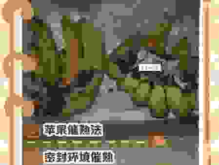 绿皮香蕉怎么快速催熟？这几个小妙招都学会