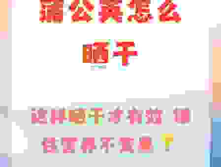 蒲公英做茶怎么晒干？简单又健康的做法分享