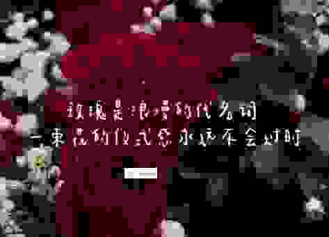 代表爱情的花语大全,让爱意随花绽放!