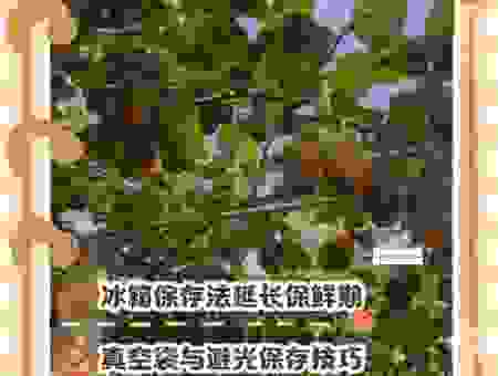 未成熟的猕猴桃放冰箱好不好？过来人分享经验告诉你
