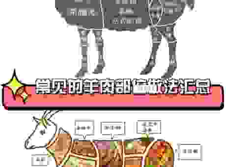 羊蝎子是羊身上的哪个部位?看完你就明白了!