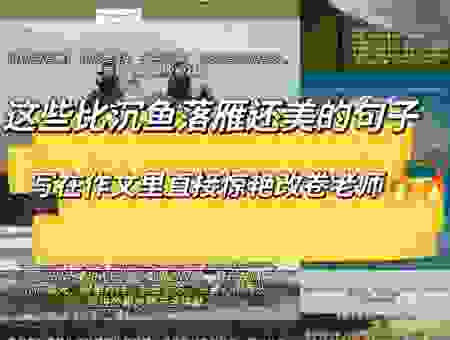 有哪些好看的过渡句？分享几个绝佳范例。