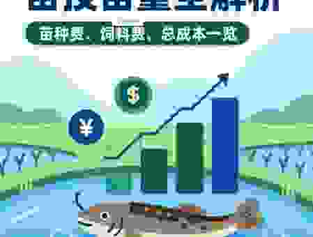 泥鳅养殖一亩需要多少投入?最新成本分析揭秘