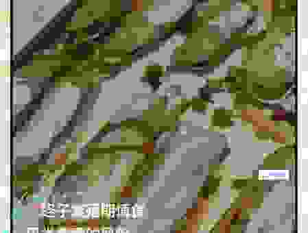 蛏子怎么读?蛏子名字的由来和读音揭秘!