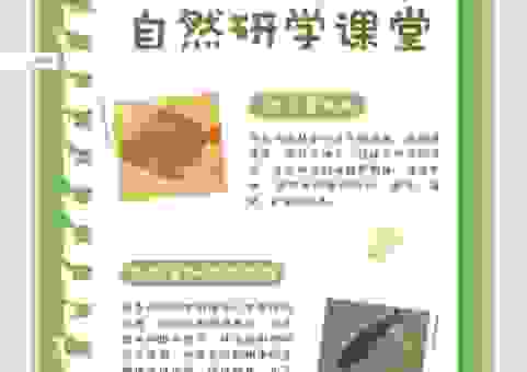 化石是怎么形成的？简单易懂的讲解让你明白！