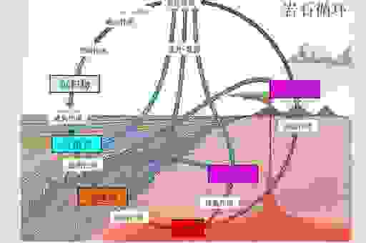 化石是怎么形成的？简单易懂的讲解让你明白！