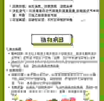常春藤怎么养才茂盛？日常护理全攻略！