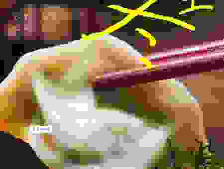 冬至的风俗吃什么?这些传统美食暖心又暖胃!