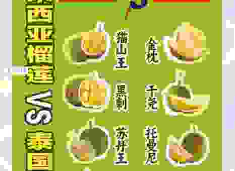 榴莲的产地主要在哪里？马来西亚和泰国哪个更正宗！