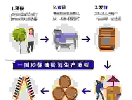 家庭酿制葡萄酒方法全攻略,从选材到发酵一次搞定!