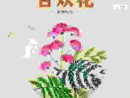 合欢花花语是什么?看完你就明白了!