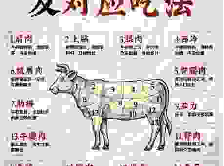 想知道蚝油牛肉是什么地方的菜吗?答案在这里!