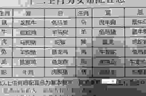 解密擒七打八是什么生肖,带你深度分析生肖特点