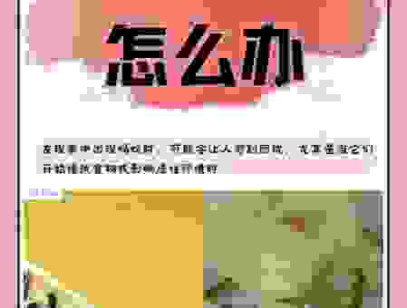 家里有蚂蚁是什么原因造成的?这几点原因很关键!