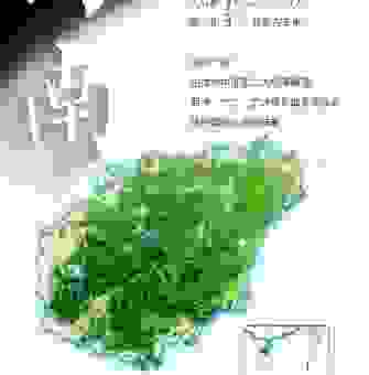海南岛是我国的第几大岛?带你了解海南地理小知识