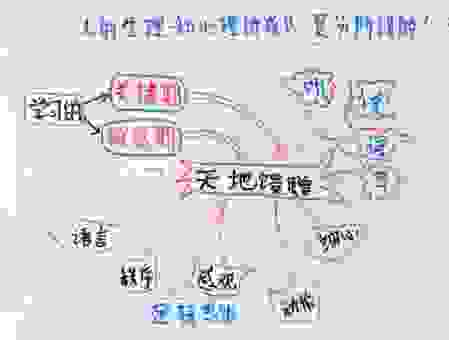 如何理解青葱岁月的意思?这几个解析让你彻底明白