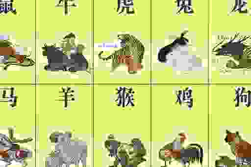 万古长青是指什么生肖?为你解析生肖背后的内涵!