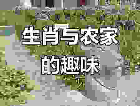 农家后院六绿树是什么生肖？其实这个生肖很多人都猜不到！