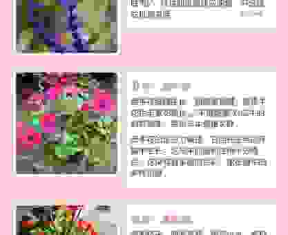 后院种树指什么生肖?详解其中的含义与生肖解析!