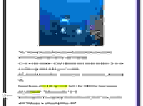 世界海洋日是哪个国家提出的?一篇文章为你详细解答