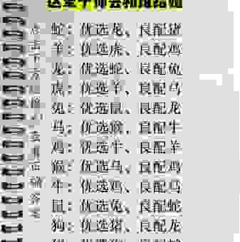 一生只以食为天是什么生肖?带你快速了解准确答案!