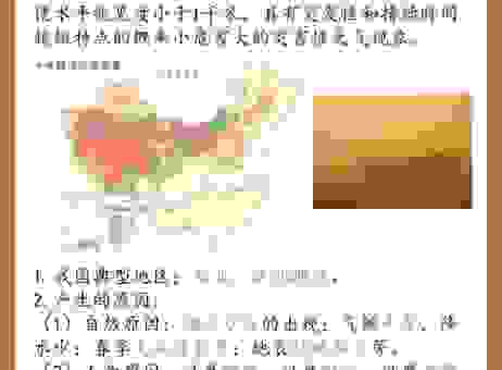 尘土纷嚣是什么意思?这些常见的使用场景你要知道