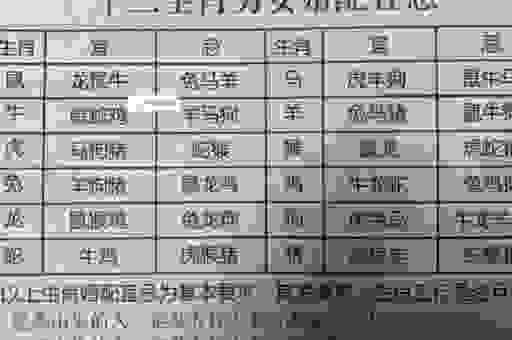 七老八十是什么生肖？带你从数字含义里找精准答案