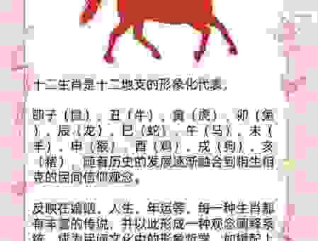 落井下石打一个生肖的正确答案，带你了解生肖趣味百科